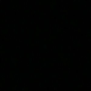 Meet your Posher, Paulina